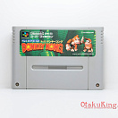 SFC (SHVC-8X) -Super Donkey Kong (Country)