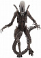 7inch Action Figure Series 14 Alien Resurrection - Alien Xenomorph Warrior