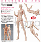 Figma 02 - Archetype Next : She - Flesh Color ver. re-release 2